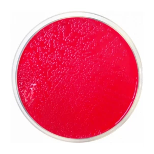 m-Lauryl Sulfate Agar 500 G