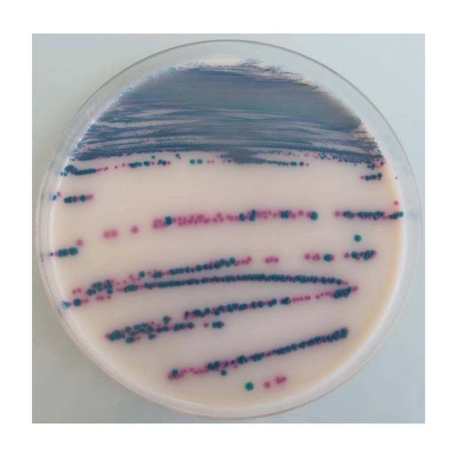 IRIS Salmonella Sup. 10x50 ml