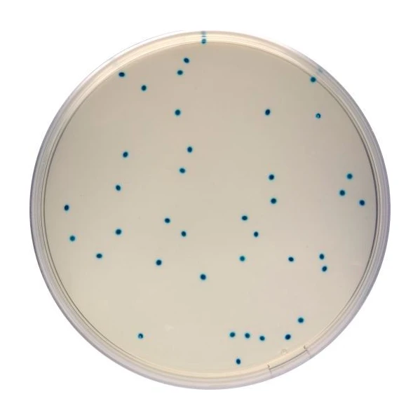Compass Enterococcus Agar 10X100 ml