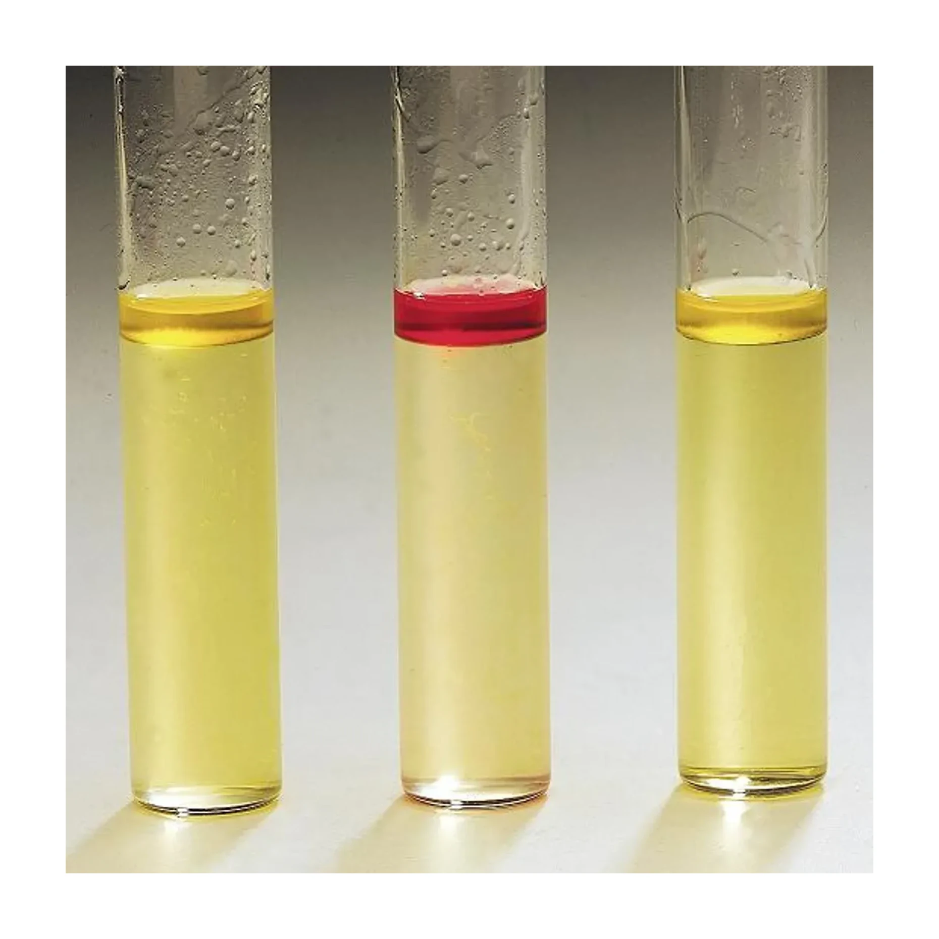 Tryptophan Broth 50x3 ml