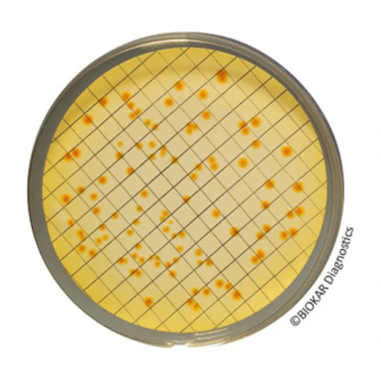 Tergitol 7 Agar 20 Placas 55 mm