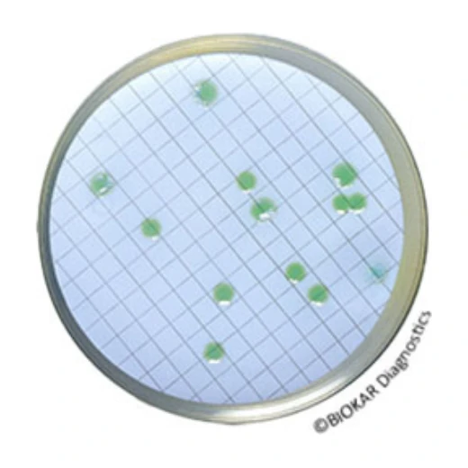 CN Agar Pseudo. Base 500 G