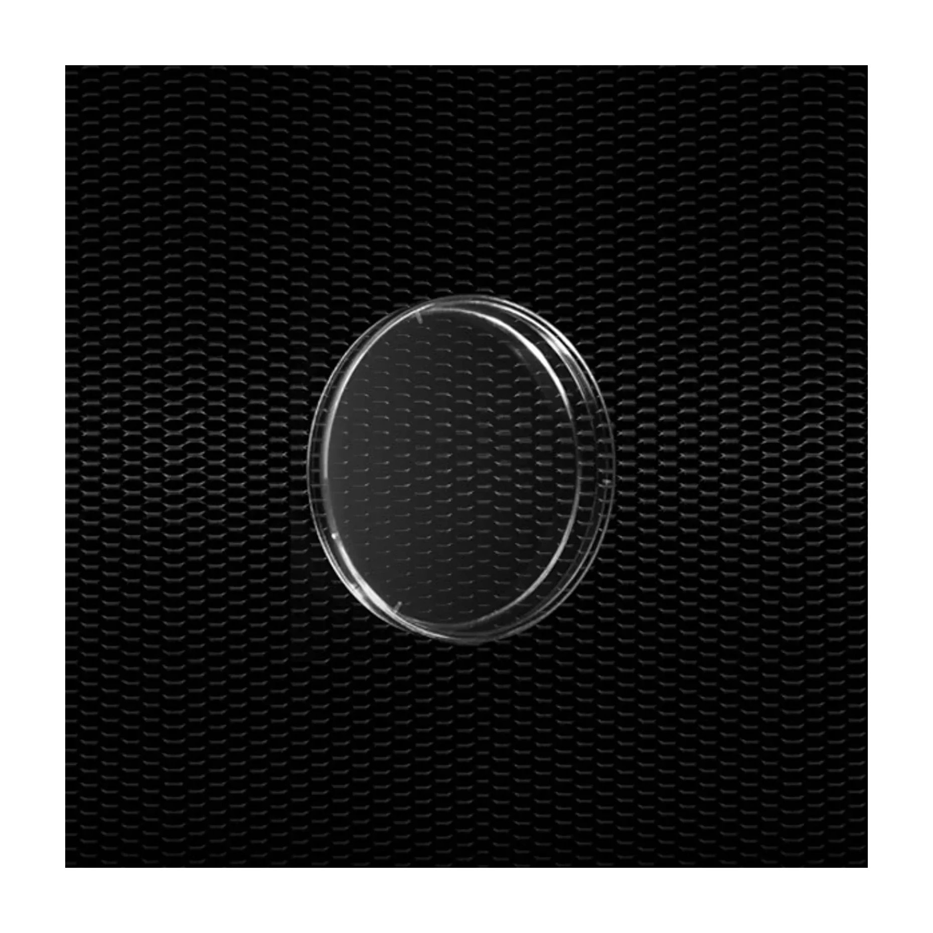 Placa Petri Ø 60 mm Ventilada Cx 1200