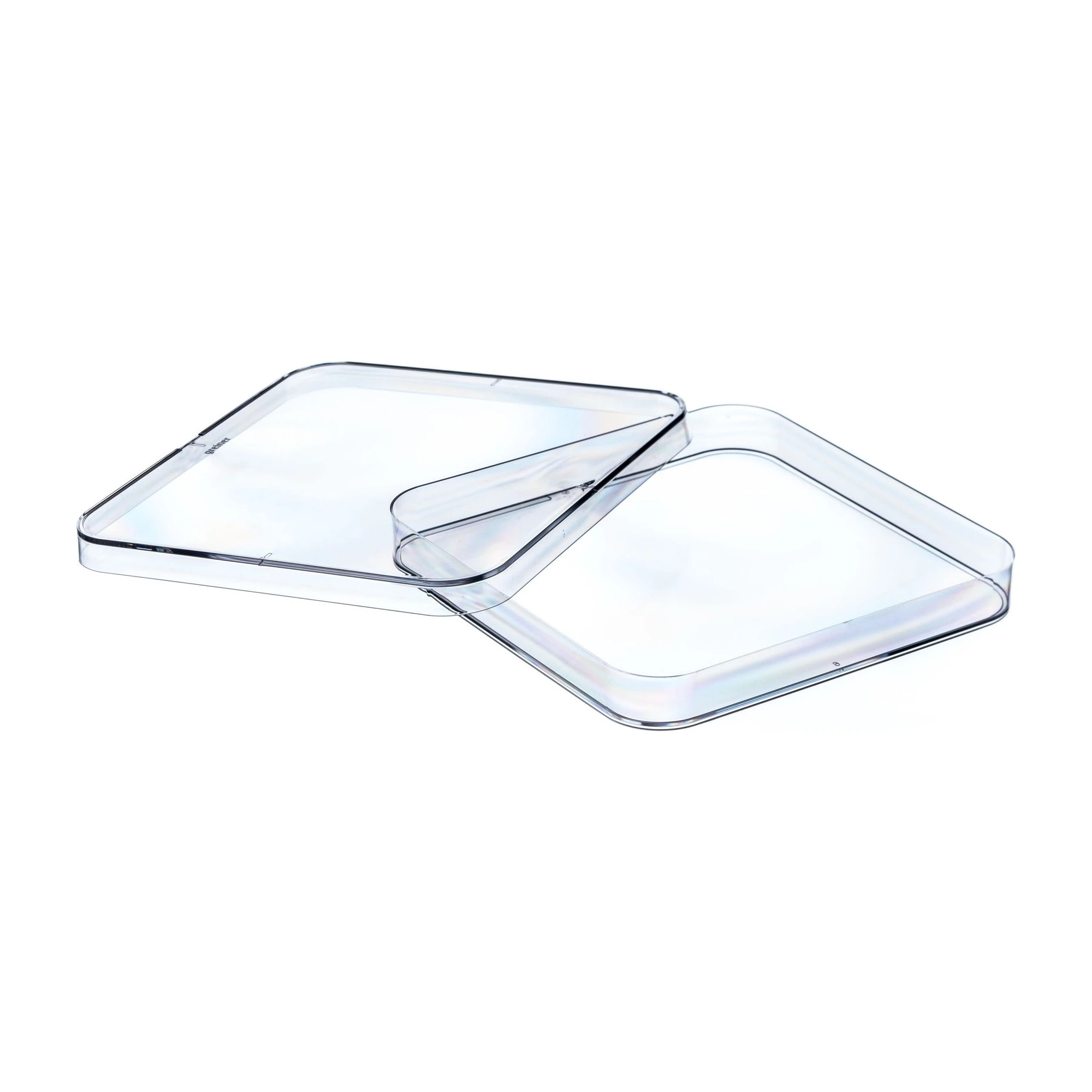 Placa Petri Quadrada 120x120x17 mm, Estéril Cx 240