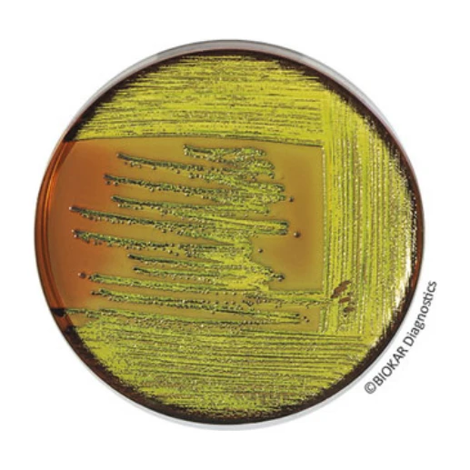 E M B Agar (Levine) 500 G