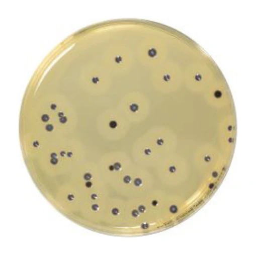 Baird Parker Agar Base 500 G